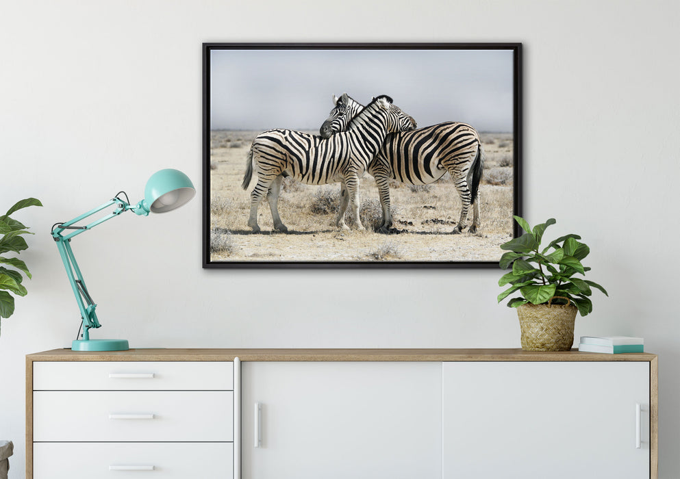 Schmusende Zebras auf Leinwandbild gerahmt verschiedene Größen im Wohnzimmer