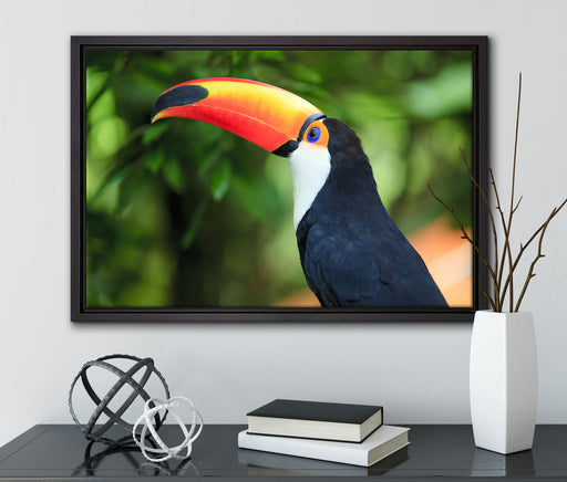 Bunter Tukan auf Leinwandbild gerahmt mit Kirschblüten