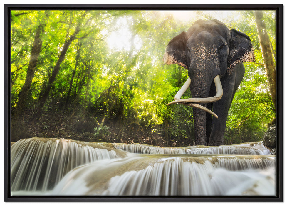 Elefant am Bach auf Leinwandbild gerahmt Größe 100x70
