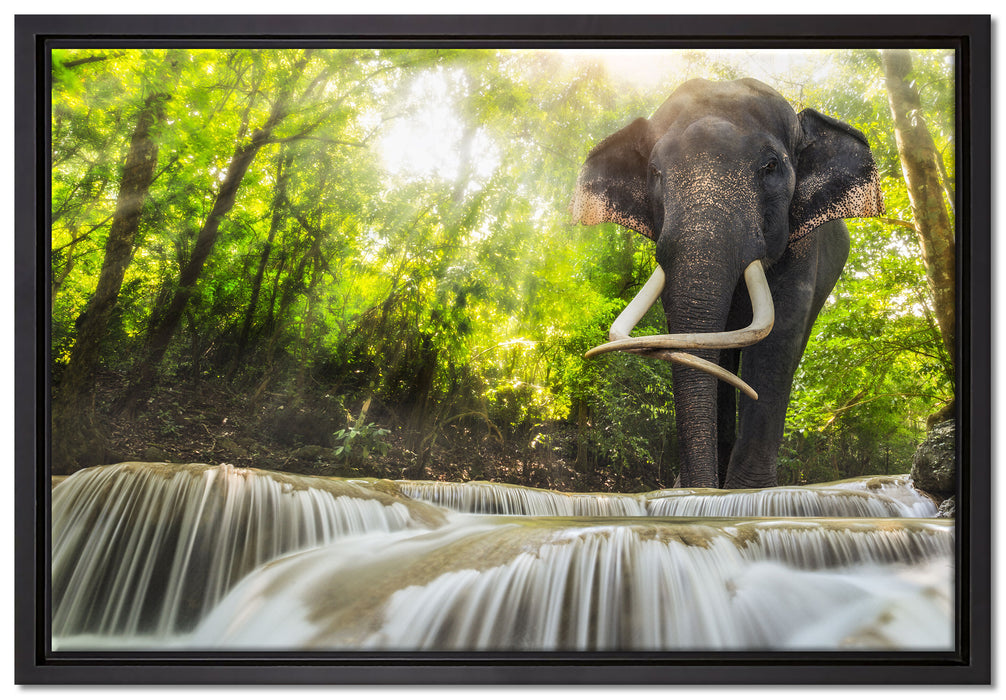 Elefant am Bach auf Leinwandbild gerahmt Größe 60x40
