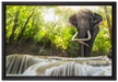 Elefant am Bach auf Leinwandbild gerahmt Größe 60x40
