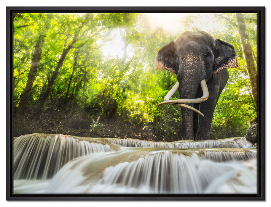 Elefant am Bach auf Leinwandbild gerahmt Größe 80x60