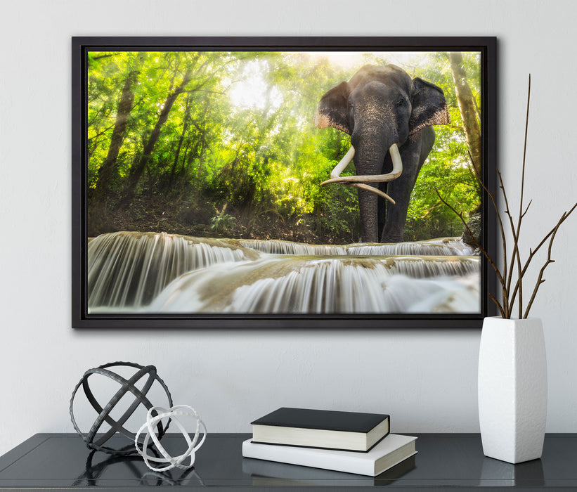 Elefant am Bach auf Leinwandbild gerahmt mit Kirschblüten