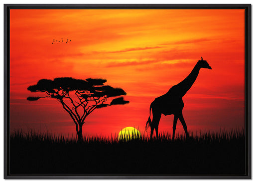 Giraffe im Sonnenuntergang auf Leinwandbild gerahmt Größe 100x70