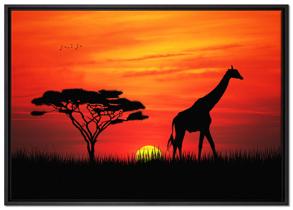 Giraffe im Sonnenuntergang auf Leinwandbild gerahmt Größe 100x70