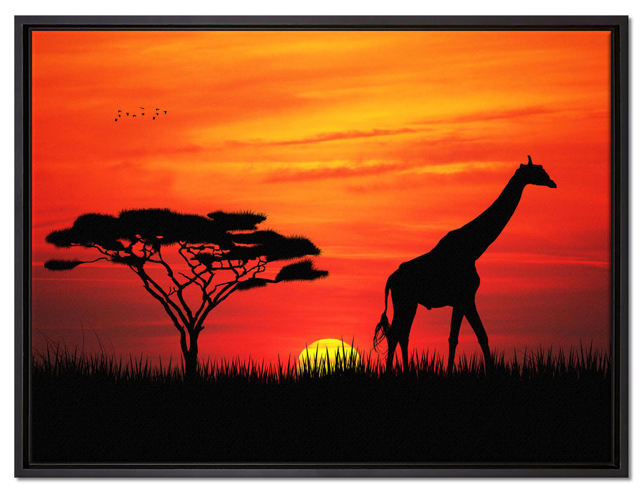 Giraffe im Sonnenuntergang auf Leinwandbild gerahmt Größe 80x60