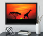 Giraffe im Sonnenuntergang auf Leinwandbild gerahmt mit Kirschblüten