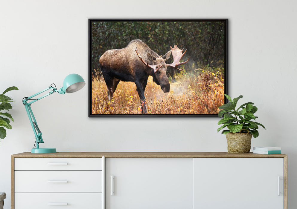 Großer Elch auf Leinwandbild gerahmt verschiedene Größen im Wohnzimmer
