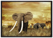 Stolzer Elefant in Savanne auf Leinwandbild gerahmt Größe 100x70