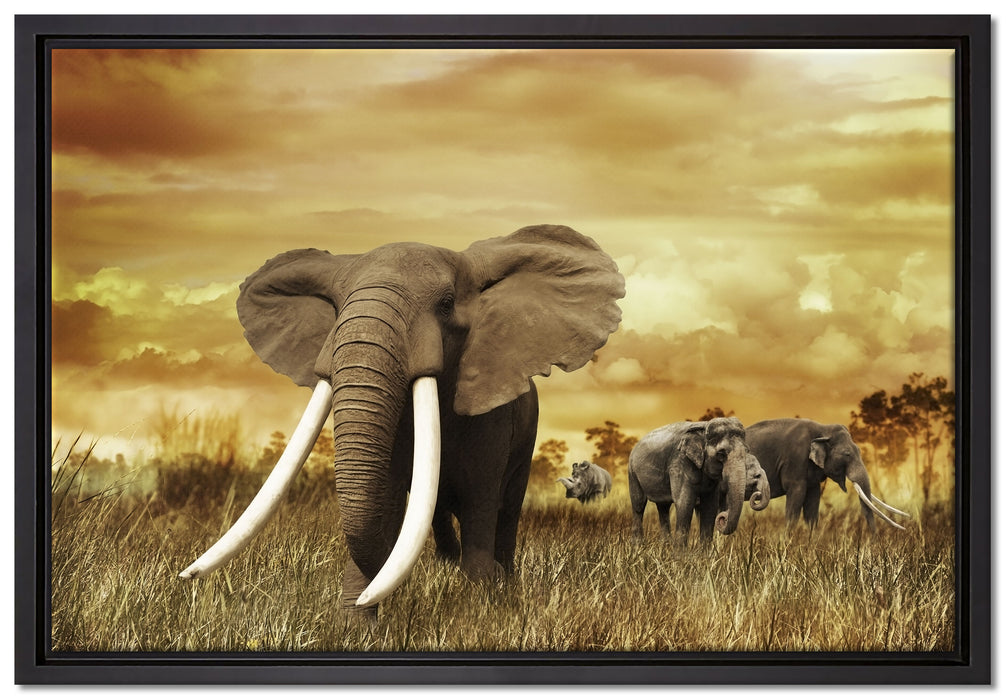 Stolzer Elefant in Savanne auf Leinwandbild gerahmt Größe 60x40