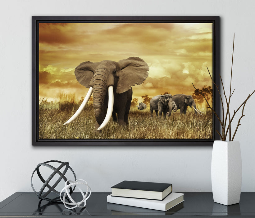 Stolzer Elefant in Savanne auf Leinwandbild gerahmt mit Kirschblüten