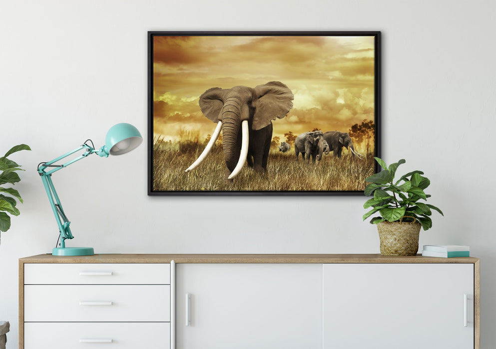 Stolzer Elefant in Savanne auf Leinwandbild gerahmt verschiedene Größen im Wohnzimmer