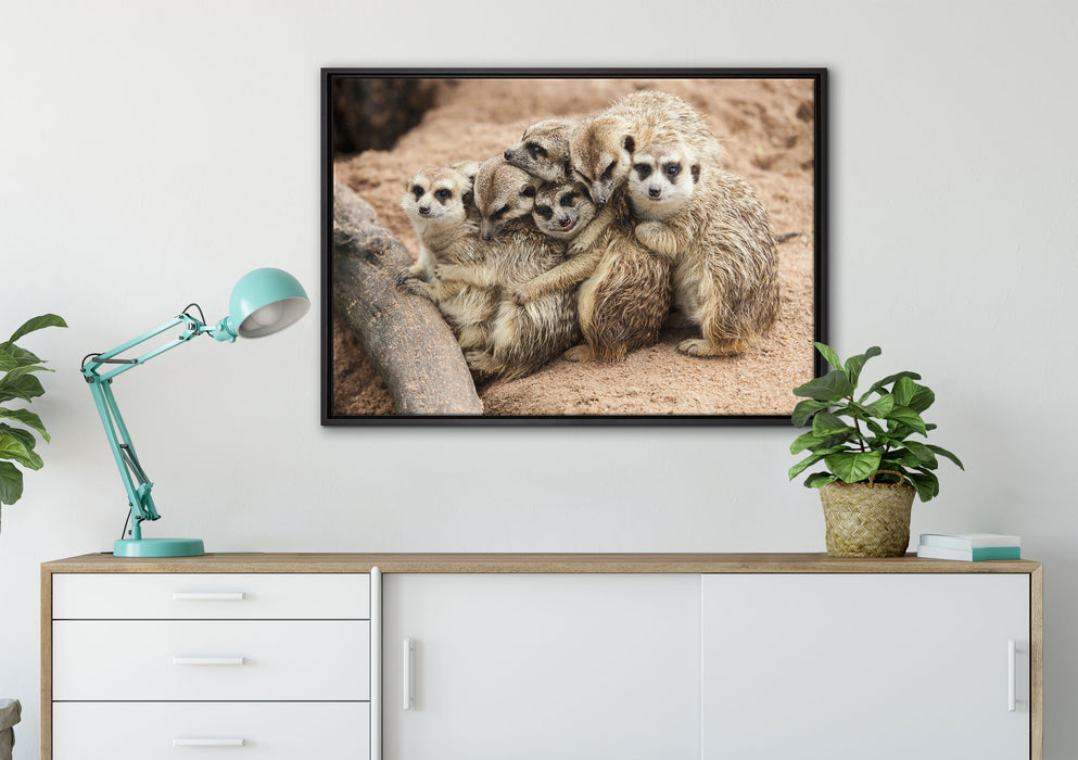 kuschelnde Erdmännchen auf Leinwandbild gerahmt verschiedene Größen im Wohnzimmer