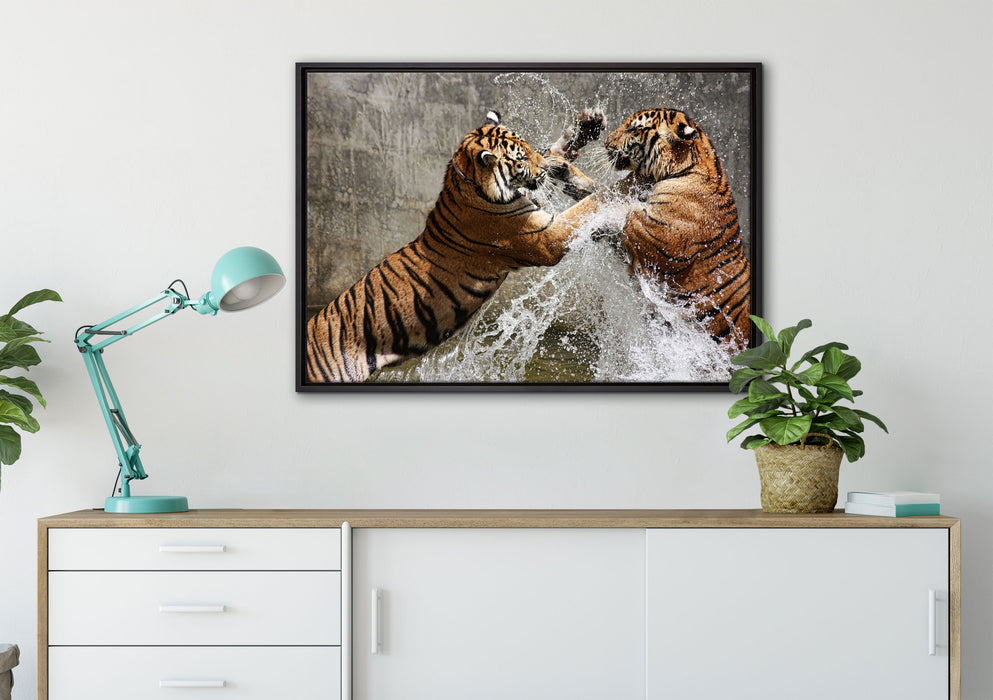 Kämpfende Tiger im Wasser auf Leinwandbild gerahmt verschiedene Größen im Wohnzimmer