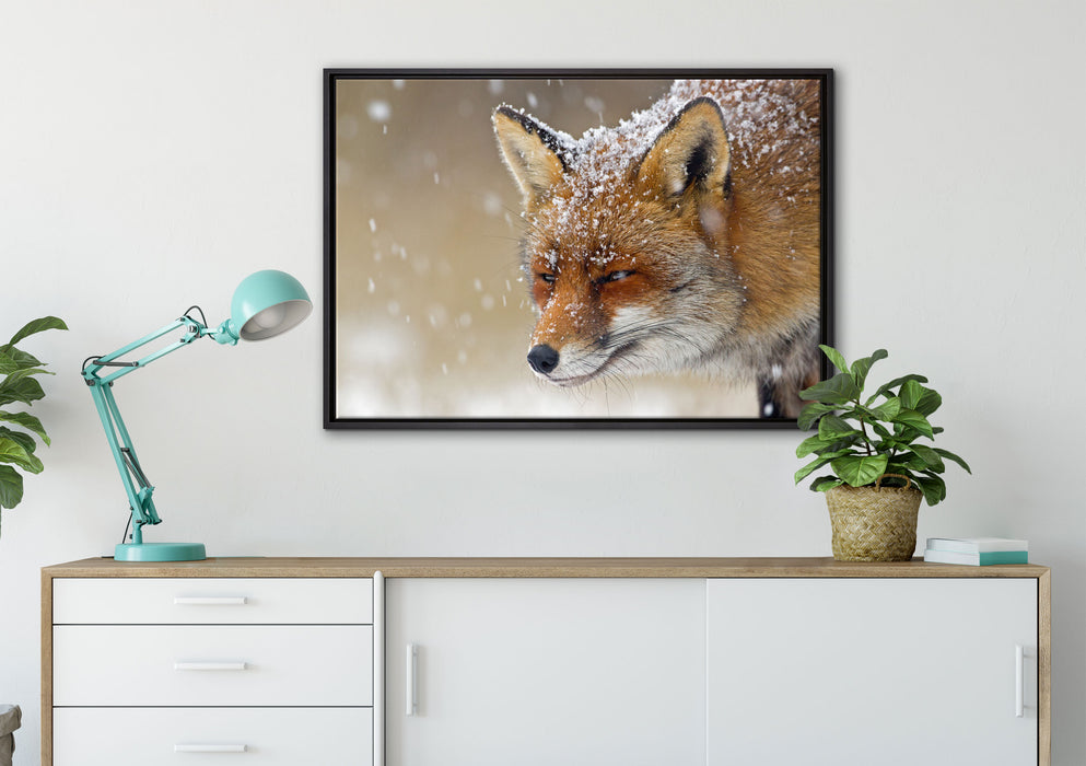 Fuchs im Schnee auf Leinwandbild gerahmt verschiedene Größen im Wohnzimmer
