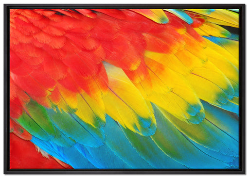 Bunte Papageien Flügel auf Leinwandbild gerahmt Größe 100x70
