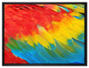 Bunte Papageien Flügel auf Leinwandbild gerahmt Größe 80x60