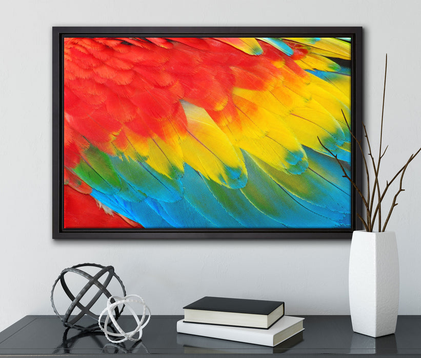 Bunte Papageien Flügel auf Leinwandbild gerahmt mit Kirschblüten