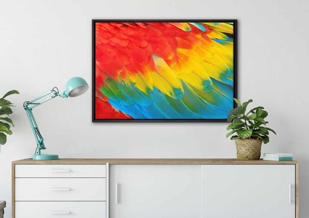 Bunte Papageien Flügel auf Leinwandbild gerahmt verschiedene Größen im Wohnzimmer