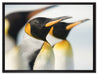Pinguine auf Leinwandbild gerahmt Größe 80x60