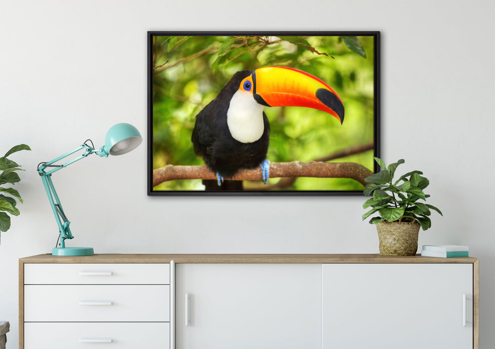 Exotischer Tukan auf Leinwandbild gerahmt verschiedene Größen im Wohnzimmer
