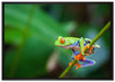 Grüner kleiner Frosch auf Ast auf Leinwandbild gerahmt Größe 100x70