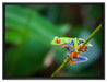 Grüner kleiner Frosch auf Ast auf Leinwandbild gerahmt Größe 80x60