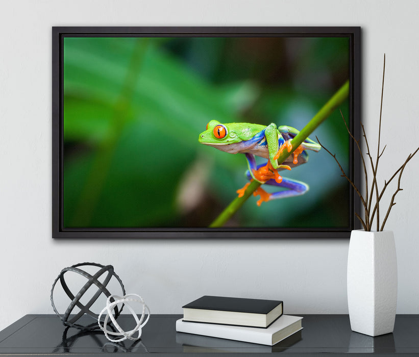 Grüner kleiner Frosch auf Ast auf Leinwandbild gerahmt mit Kirschblüten