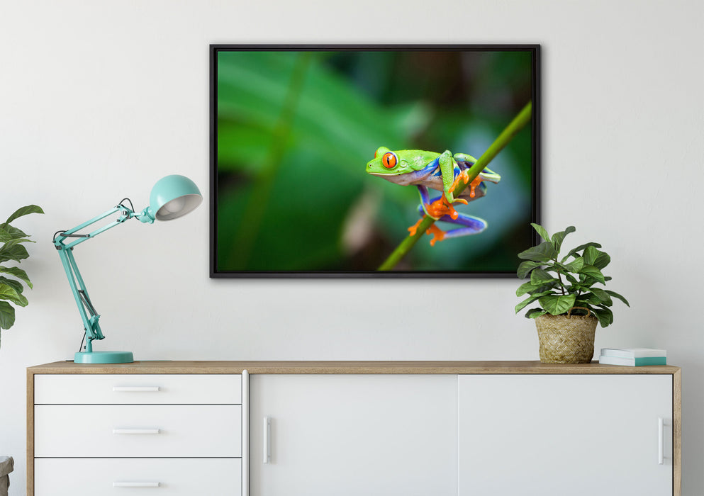 Grüner kleiner Frosch auf Ast auf Leinwandbild gerahmt verschiedene Größen im Wohnzimmer