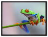 Grüner Frosch auf Ast auf Leinwandbild gerahmt Größe 80x60