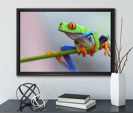 Grüner Frosch auf Ast auf Leinwandbild gerahmt mit Kirschblüten