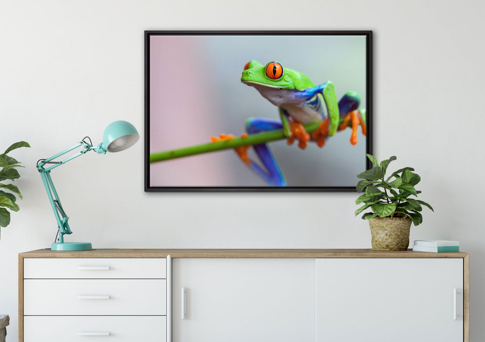Grüner Frosch auf Ast auf Leinwandbild gerahmt verschiedene Größen im Wohnzimmer