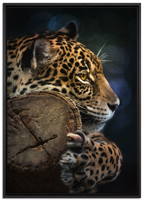 Wunderschöner Leopard auf Leinwandbild gerahmt Größe 100x70