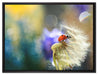 Marienkäfer auf Pusteblume auf Leinwandbild gerahmt Größe 80x60