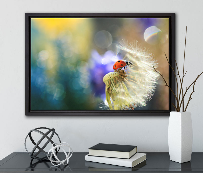 Marienkäfer auf Pusteblume auf Leinwandbild gerahmt mit Kirschblüten