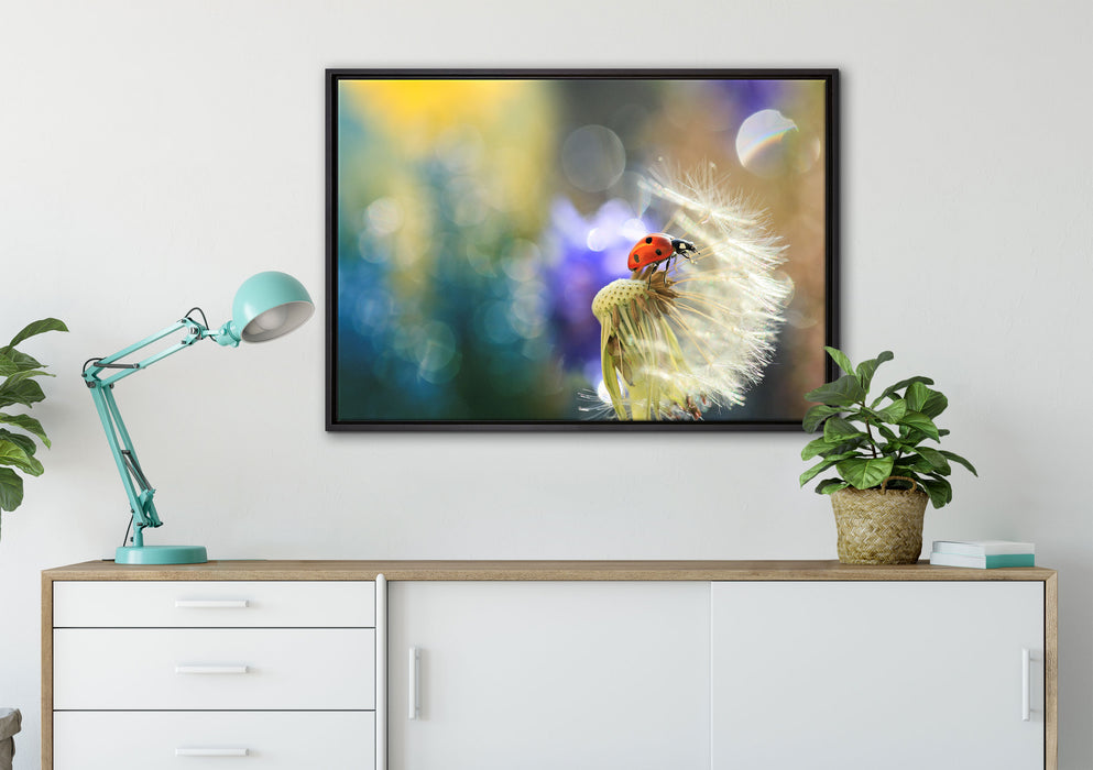 Marienkäfer auf Pusteblume auf Leinwandbild gerahmt verschiedene Größen im Wohnzimmer