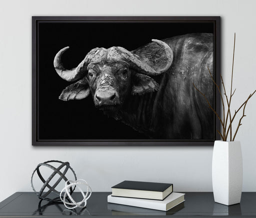 Dark Wasserbüffel auf Leinwandbild gerahmt mit Kirschblüten