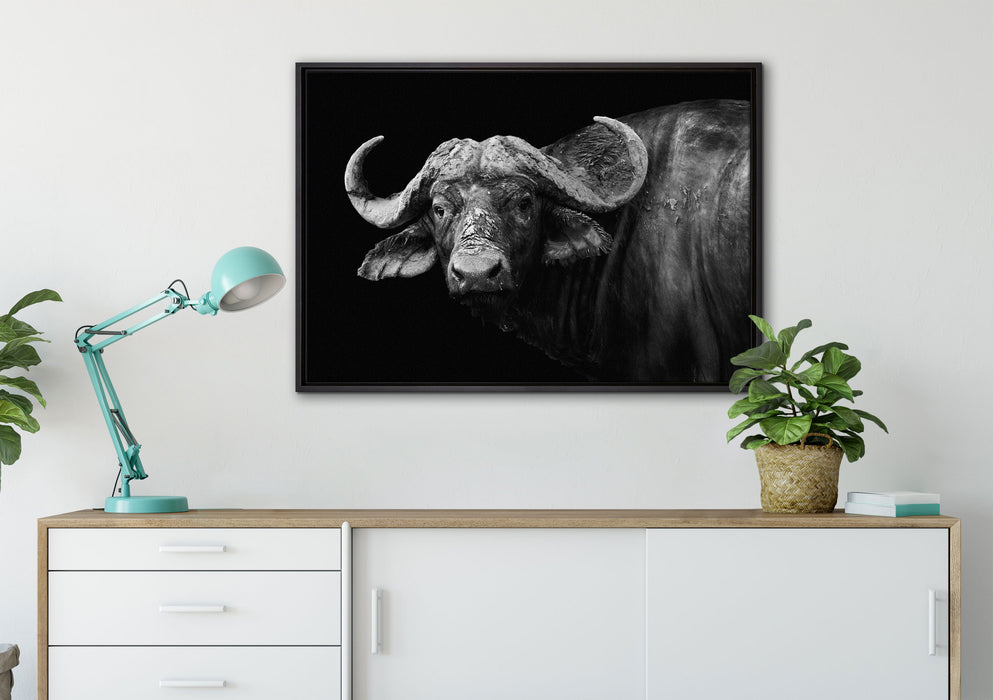 Dark Wasserbüffel auf Leinwandbild gerahmt verschiedene Größen im Wohnzimmer