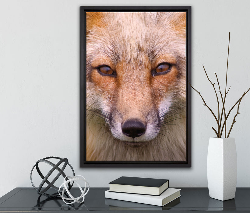 Fuchs Porträt auf Leinwandbild gerahmt mit Kirschblüten