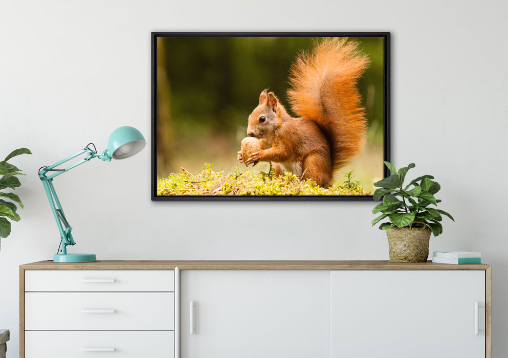 Eichhörnchen mit Nuss auf Leinwandbild gerahmt verschiedene Größen im Wohnzimmer