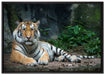 Liegender Tiger auf Leinwandbild gerahmt Größe 100x70