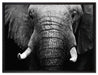 Elefant Porträt auf Leinwandbild gerahmt Größe 80x60
