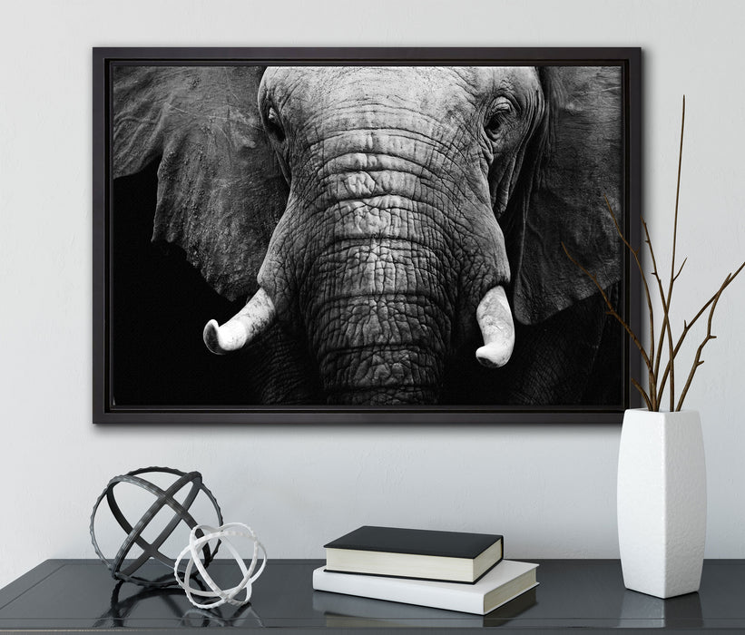 Elefant Porträt auf Leinwandbild gerahmt mit Kirschblüten