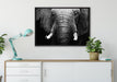 Elefant Porträt auf Leinwandbild gerahmt verschiedene Größen im Wohnzimmer