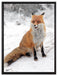 Fuchs im Schnee auf Leinwandbild gerahmt Größe 80x60