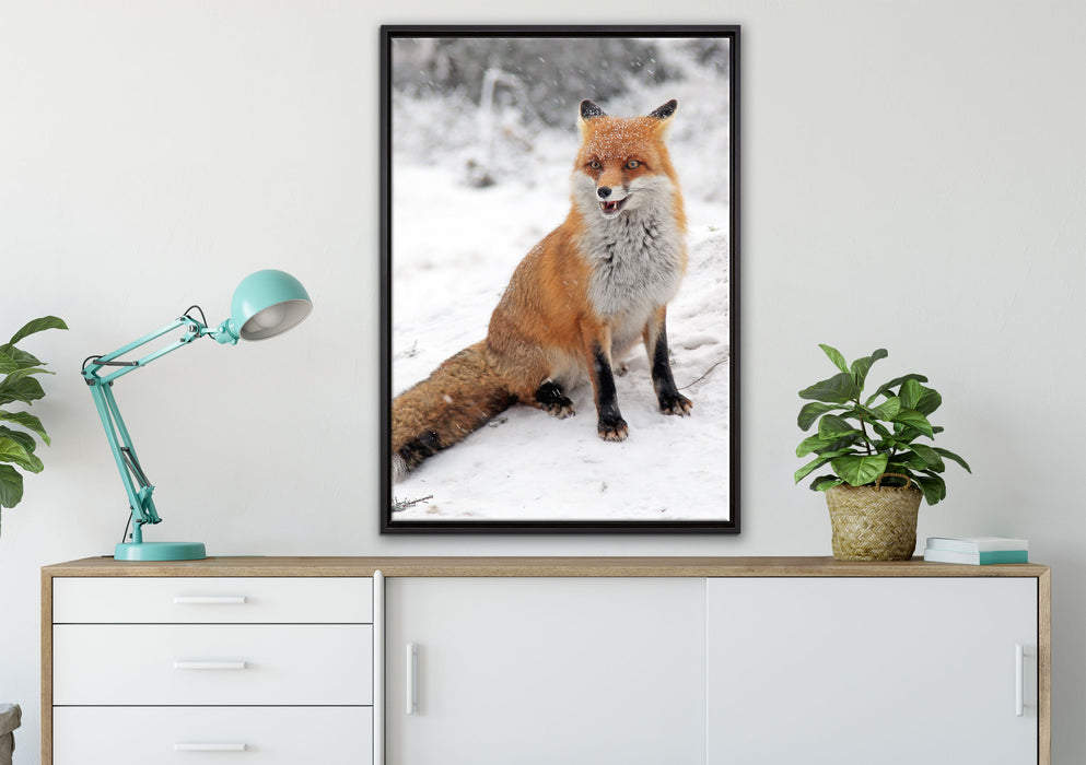 Fuchs im Schnee auf Leinwandbild gerahmt verschiedene Größen im Wohnzimmer