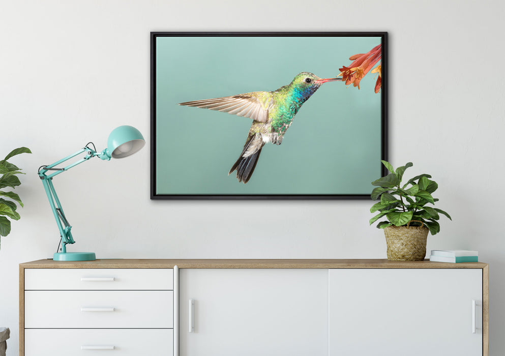 Bunter Kolibri auf Leinwandbild gerahmt verschiedene Größen im Wohnzimmer