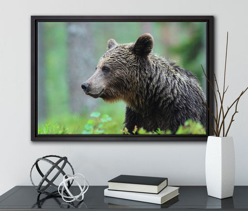 Kleiner Bär auf Leinwandbild gerahmt mit Kirschblüten