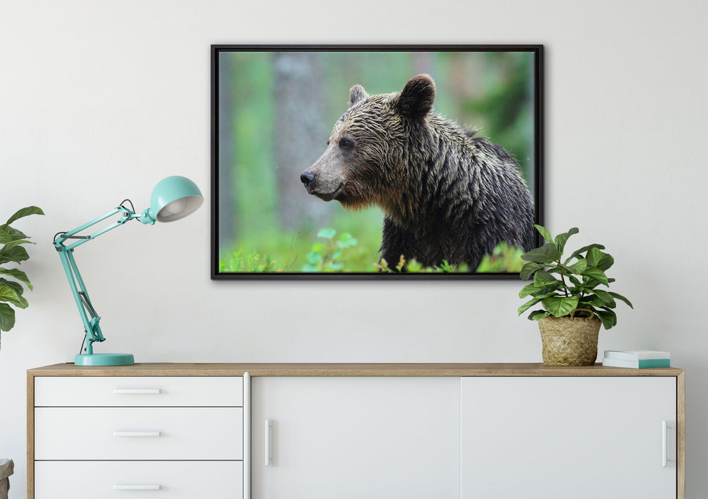 Kleiner Bär auf Leinwandbild gerahmt verschiedene Größen im Wohnzimmer