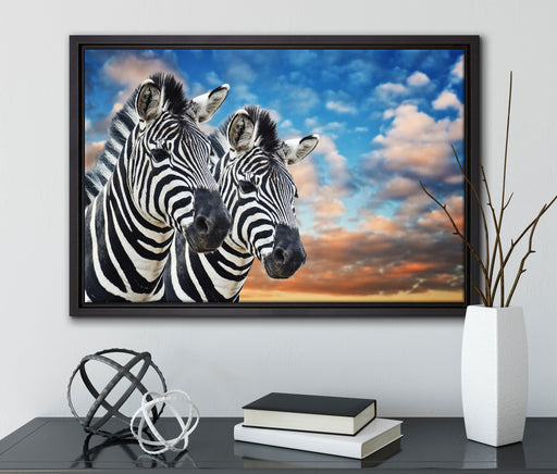 Zebra Pärchen auf Leinwandbild gerahmt mit Kirschblüten